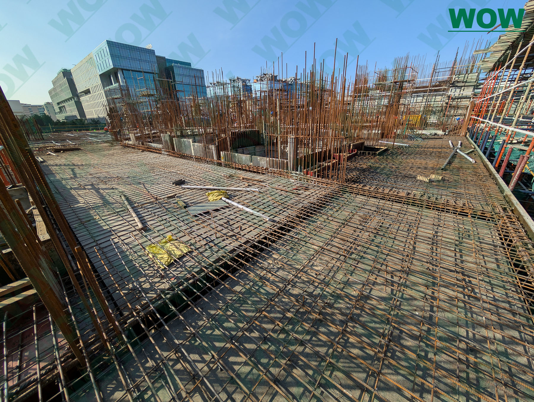 shuttering ply