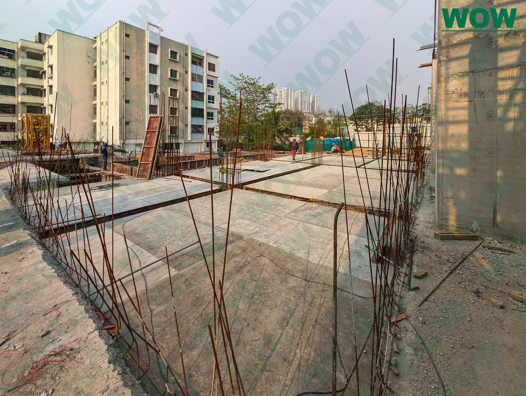 shuttering plywood